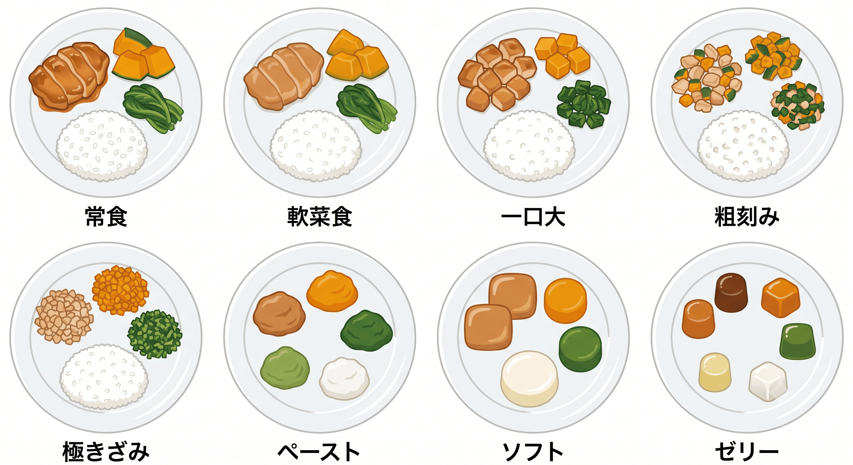 食事形態の種類一覧｜刻み食からミキサー食まで専門家が図解解説